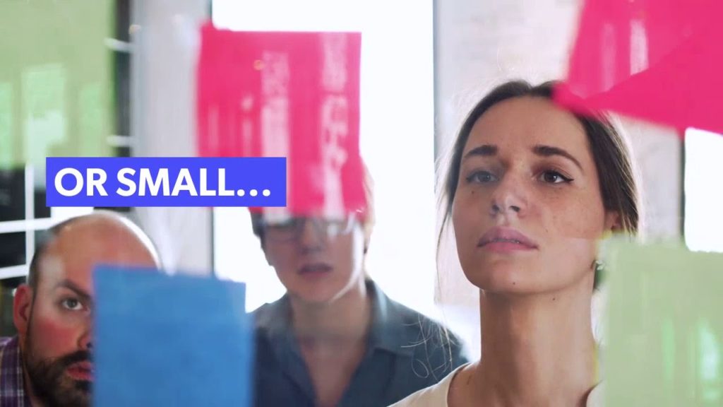 Companies of all sizes benefit from a PEO...Large or Small